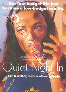 Quiet Night In (DVD)